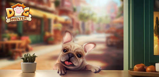 Dog Shelter